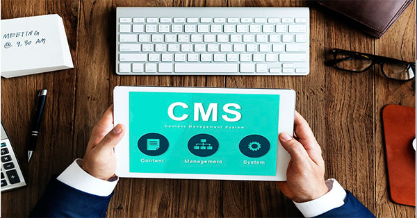 7 Top CMS Platforms For Website Development