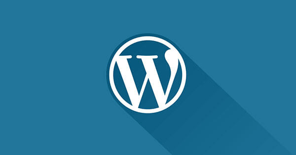 How to Build A WordPress Website? 