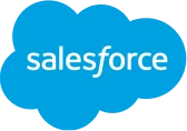 salesforce developer